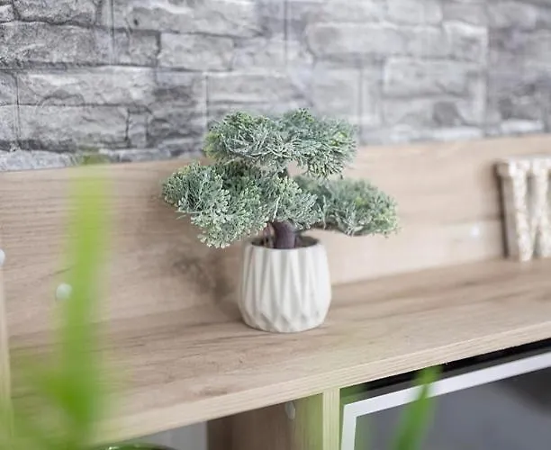 & Free Parking 公寓 *